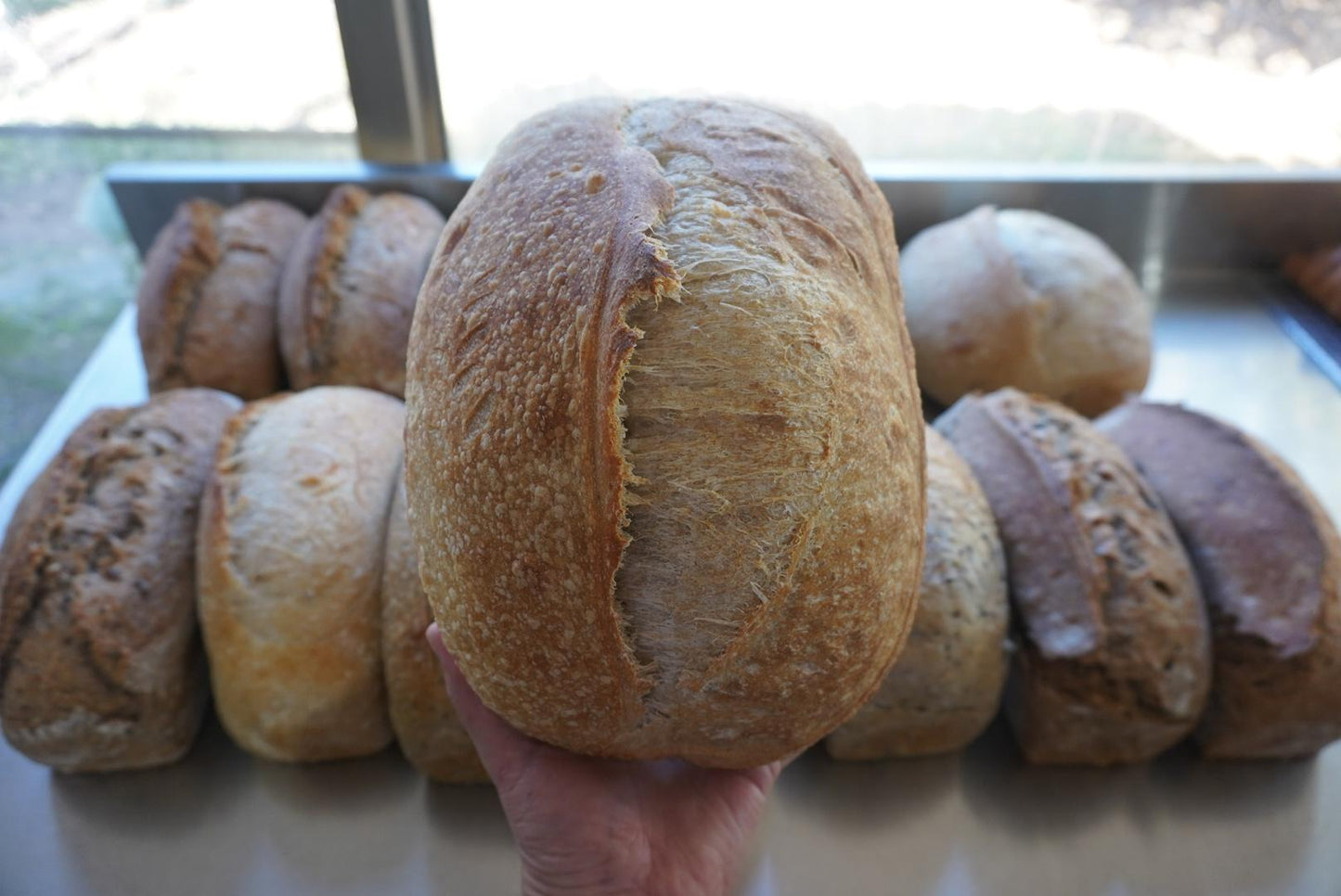 Pan de Masa Madre Blanco